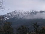 IMG_2572.jpg