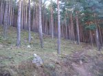 IMG_3732.jpg