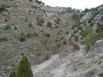 DSC05758.jpg