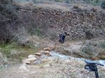 DSC05818.jpg