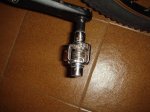 DSC02370.jpg