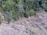 Imagen078.jpg