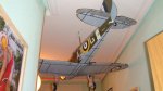 DSC00752.jpg