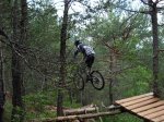 Volando.jpg