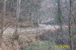 103_1040.jpg