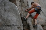 DSC_9525.jpg