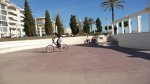 P1000401.jpg