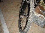 DSC06330.jpg