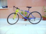 PICT0237.jpg