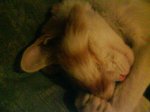 DSC00241.jpg