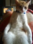 DSC00426.jpg