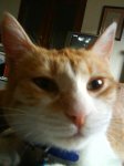 DSC00428.jpg
