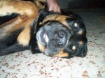 100_0156.jpg