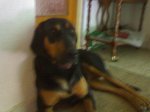 DSC00448.jpg