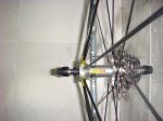 DSC01381.jpg