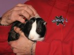 IMG_0444.jpg