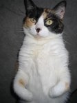 fotos 400 (Small).jpg