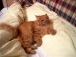 fotos 497 (Small).jpg