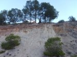 S5009140.jpg