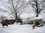 Nieve  (2).jpg