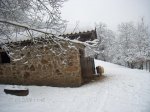 Nieve  (5).jpg