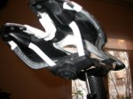 DSCN8573.jpg