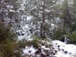 Imagen027.jpg