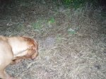 Imagencasa y tula 093.jpg