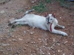Imagencasa y tula 108.jpg