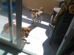 28062008055.jpg