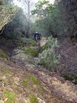 DSC06467.jpg