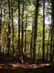 000_0161.jpg