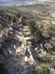 RES01222.jpg