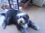 DSC00557.jpg