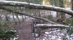 IMG_1020.JPG