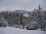 Gorbea con artonio 020.jpg