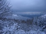 Gorbea con artonio 023.jpg