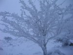 Gorbea con artonio 033.jpg