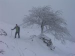 Gorbea con artonio 034.jpg