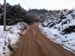 Foto0007.jpg