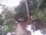Foto0012.jpg