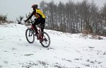 100_4662.jpg