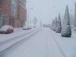 DSCF5012.jpg