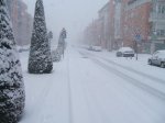 DSCF5015.jpg