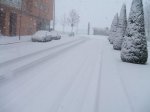 DSCF5016.jpg