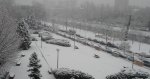 DSC02068.jpg