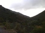 DSC00050.JPG