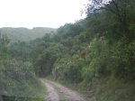 DSC00053.JPG