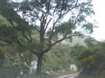 DSC00054.JPG