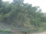 DSC00066.JPG